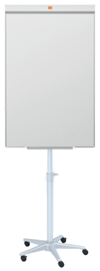Flip charts and White Boards